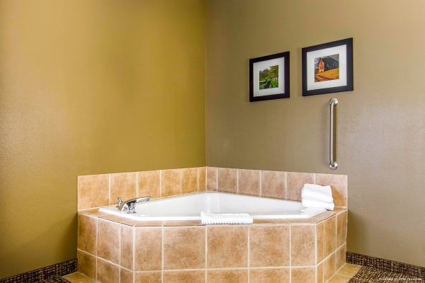 Comfort Inn and Suites